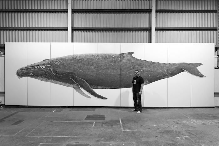 whale