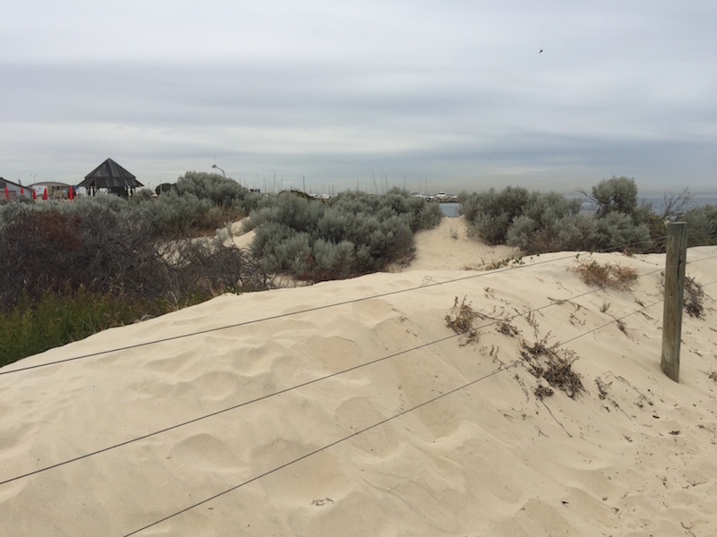 dune